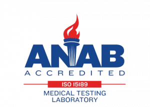 A logo featuring a blue and red torch above the large, blue text